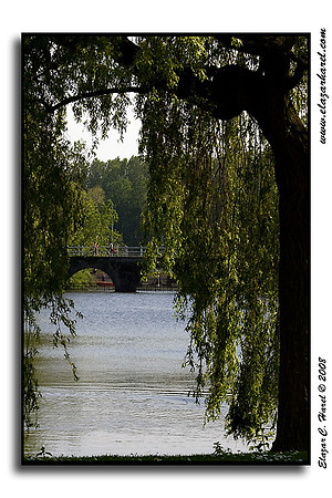 20080505_KG0I0837 (97494909)