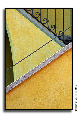 Yellows 20071008_KG0I4288 (88621914)