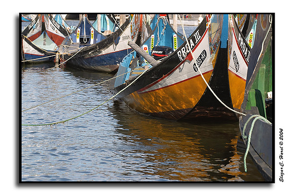 Aveiro CRW_3872 (32840737)