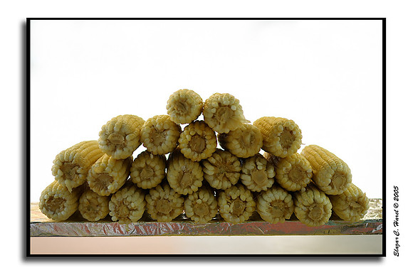 Pile pf Corns KG0I1791 (50696949)