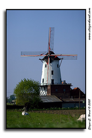 Windmill 20080506_KG0I0971 (97494955)