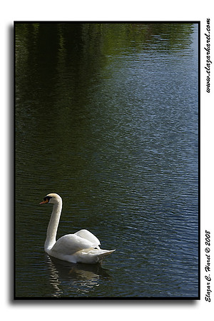20080505_KG0I0763 (97494888)
