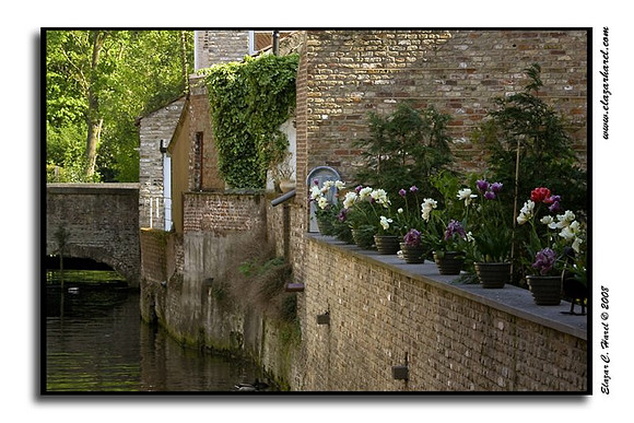 20080505_KG0I0831 (97494907)