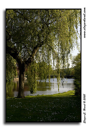 20080505_KG0I0843 (97494913)