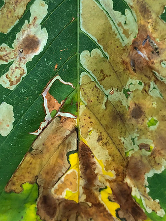 Bilbao 8837