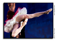 20101108_ECH_6997-2