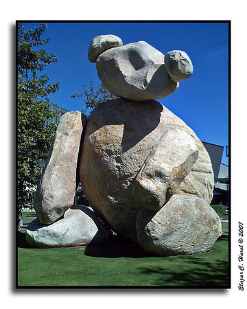 UCSD Bear 1 (86032461)