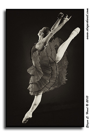 20101108_ECH_6739bw1