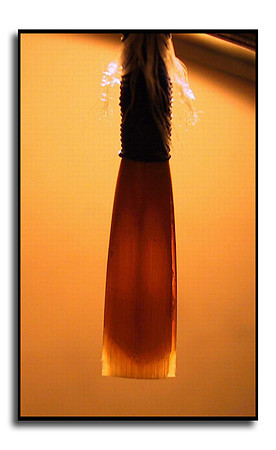 Oboe reed (4239929)