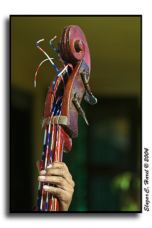 CRW_7963 (27375523)