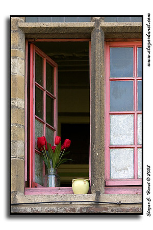 20080506_KG0I0977 (97494959)