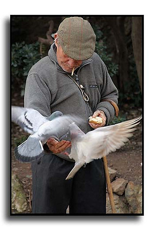 Feed the Birds CRW_6966 (10863574)