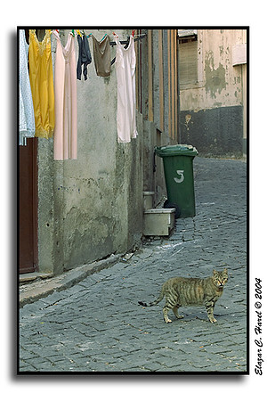 Lisbon CRW_3574 (32840456)